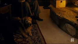 Surreal Estate - Season 03 Episode 06